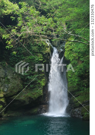 The mysterious blue waterfall cascading into the basin at Nikobuchi in Kochi 132330476