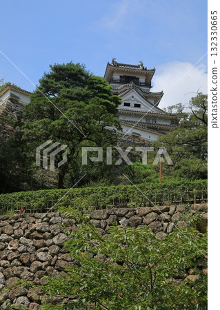 藍天白雲下高知城塔的美麗風景 132330665