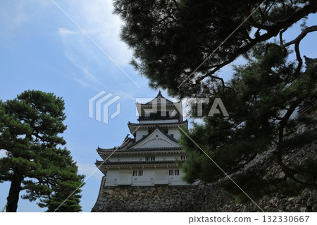The beautiful contrast between the Kochi Castle tower and the greenery of the trees 132330667