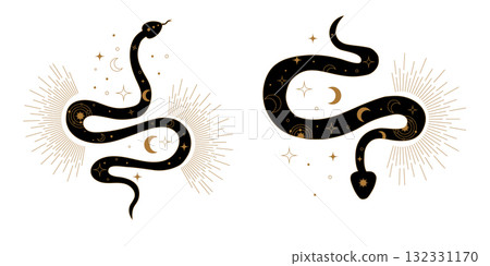 Stylized Kundalini snake vector collection inspired by sacred geometry and mystical power. Abstract serpent symbols of energy flow spiritual awakening balance and inner peace design. Stylized Kundalini snake vector collection inspired by sacred geometry and mystical power. Abstract serpent symbols of energy flow spiritual awakening balance and inner peace design. 132331170