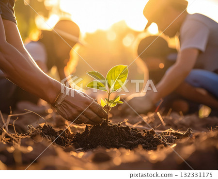 Young Women Planting Trees at Sunset Young Women Planting Trees at Sunset 132331175
