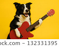 邊境牧羊犬彈奏一把紅色吉他 132331395