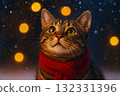 冬日雪夜，一隻戴著紅色圍巾的貓抬頭看著燈光 132331396