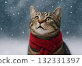 冬天，一隻戴著紅色圍巾的貓抬頭看著戶外的雪 132331397