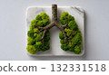 Lung-Shaped Moss Tree Model on Marble Surface for Anatomy, Nature, and Wellness 132331518