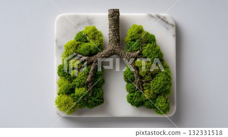 Lung-Shaped Moss Tree Model on Marble Surface for Anatomy, Nature, and Wellness Lung-Shaped Moss Tree Model on Marble Surface for Anatomy, Nature, and Wellness 132331518