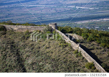 Generated image Generated image 132331584