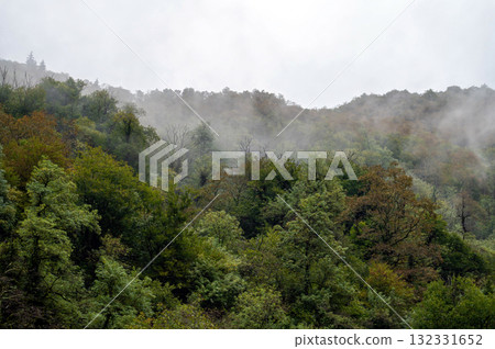 Fog over the forest in the mountains. Nature background with copy space Fog over the forest in the mountains. Nature background with copy space 132331652