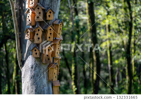 Many multi-story birdhouses on a tree in the park. Concept of urbanization and overpopulation. 132331665