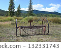 Old farm equipment in a field 132331743