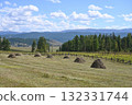 Green meadows with harvested haystacks in the highlands 132331744