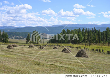 Green meadows with harvested haystacks in the highlands Green meadows with harvested haystacks in the highlands 132331744