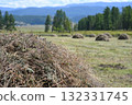 A green meadow with harvested haystacks in a mountainous area 132331745