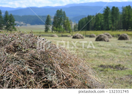 A green meadow with harvested haystacks in a mountainous area A green meadow with harvested haystacks in a mountainous area 132331745
