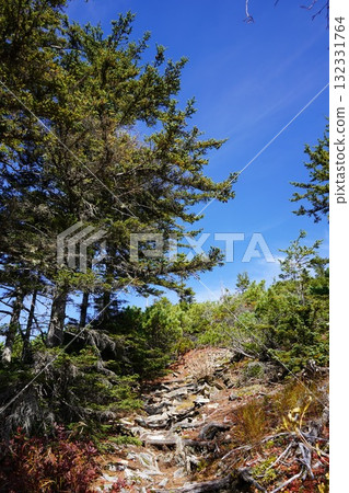 通往山頂的道路 - 東大雪山 通往山頂的道路 - 東大雪山 132331764