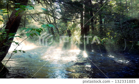 A Serene Forest with Soft Sunlight Gently Streaming Through Trees and Reflecting on Water 132331885