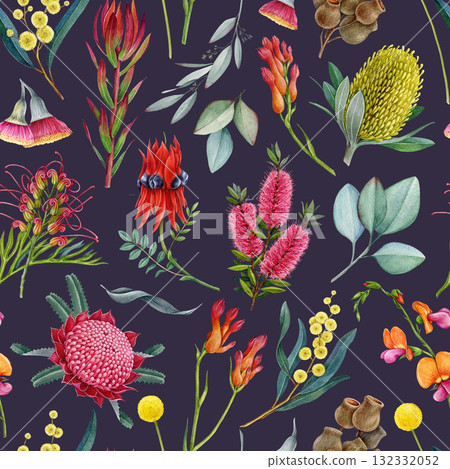 Australia native flora elements seamless pattern. Hand drawn waratah flower, banksia, golden wattle, grevillea, gum tree watercolor illustrations. Australian flowers elements on dark background 132332052