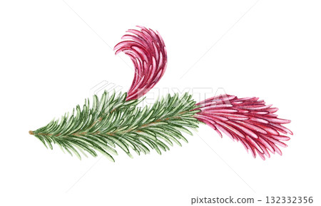 Norway spruce branch with green needle and pink female cones hand drawn in watercolor with sparkling and pencil texture. Elegant festive botanical element. Perfect for botany card and other project. 132332356