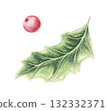 Holly green leaf and pink berry hand drawn in watercolor with sparkling and colored pencil texture. Elegant festive botanical element. Perfect for Christmas card and other seasonal botany project. 132332371