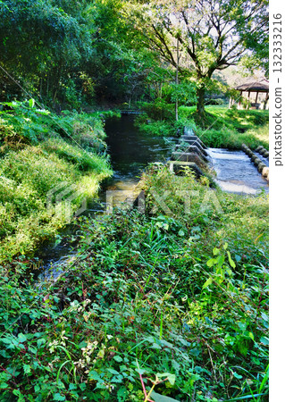 Ninomiya Seir Water Park 132333216