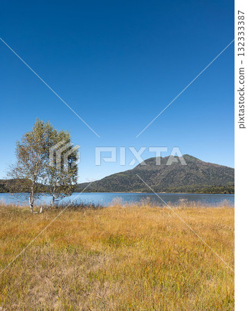 [群馬] 尾瀨之原的紅葉 132333387