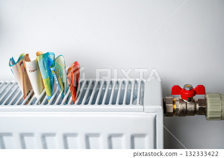 euro banknotes in a central heating radiator, the concept of expensive heating costs, closeup 132333422