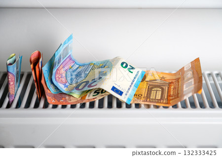 euro banknotes in a central heating radiator, the concept of expensive heating costs, closeup euro banknotes in a central heating radiator, the concept of expensive heating costs, closeup 132333425