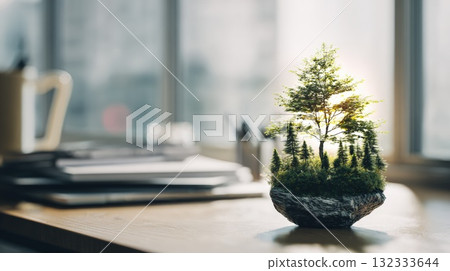 Mini Forest In A Rock Pot Indoor Office Desk Scene With Plants And Natural Light Mini Forest In A Rock Pot Indoor Office Desk Scene With Plants And Natural Light 132333644