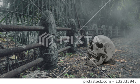 Closeup view of a human head skull on the old stone bridge path with dark forest background. The scene is scary and mysterious. Dramatic smoke or fog effect. Concept of Spooky Halloween 132333943