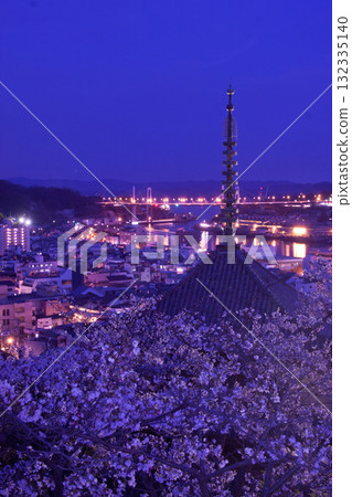 尾道天寧寺三重塔的夜櫻 132335140