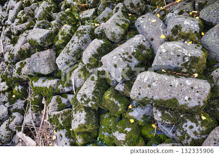 Mossy stones close-up in nature, green moss on wet rocks in forest environment, natural texture background with soft daylight, macro detail of moss growth on stone surface outdoors Mossy stones close-up in nature, green moss on wet rocks in forest environment, natural texture background with soft daylight, macro detail of moss growth on stone surface outdoors 132335906