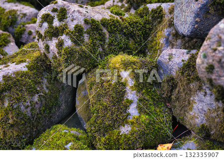 moss, rock, rocky 132335907