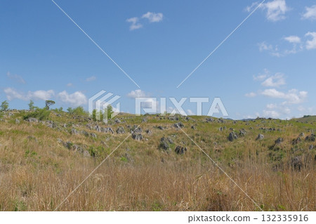 Akiyoshidai with dead grass in the spring of 2025 Akiyoshidai with dead grass in the spring of 2025 132335916