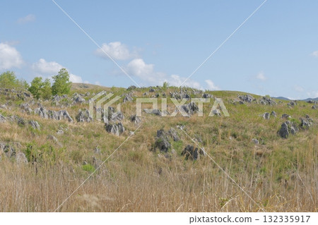 Akiyoshidai with dead grass in the spring of 2025 Akiyoshidai with dead grass in the spring of 2025 132335917