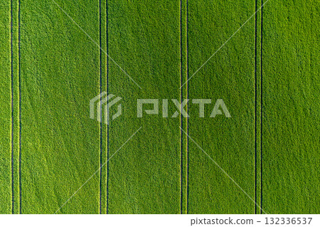 green agricultural field from above vith stripes 132336537