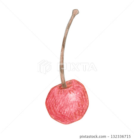 Cherry, ripe, delicious, red. Hand-drawn illustration with colored pencils, cartoonish. Design for stickers, scrapbooking, prints, or menus. Fruit, juicy, natural, berry 132336715