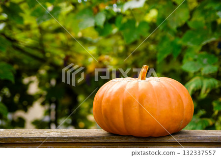 orange pumpkin on a wooden table. beautiful background with copy space for thanksgivig or halloween concept. rural garden in autumn. rustic still life composition outdoors orange pumpkin on a wooden table. beautiful background with copy space for thanksgivig or halloween concept. rural garden in autumn. rustic still life composition outdoors 132337557