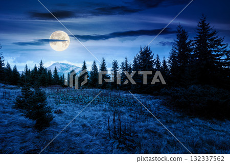 fir trees on a meadow at night. scenic landscape with coniferous forest in mountains under starry sky in full moon light. mysterious alpine scenery with silhouettes for halloween background 132337562