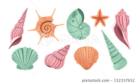 Hand drawn seashell. Sea shells collection, ocean shell set with marine mollusk and starfish, beach marine life elements. Summer vacation, nautical seaside design elements vector set 132337652