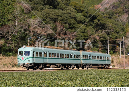 大井川鐵道茶園和南海21000系列 132338153