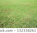Lawn 132338261