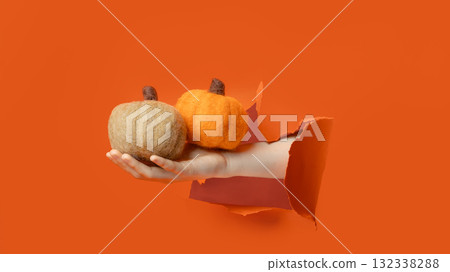 Hand holding soft wool pumpkin with golden stem through torn orange paper background. 132338288