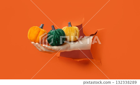 Hand holding soft wool pumpkin with golden stem through torn orange paper background. 132338289