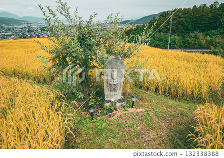 Golden rice fields and Tagoto Kannon Temple [Obasute Rice Terraces] 132338388