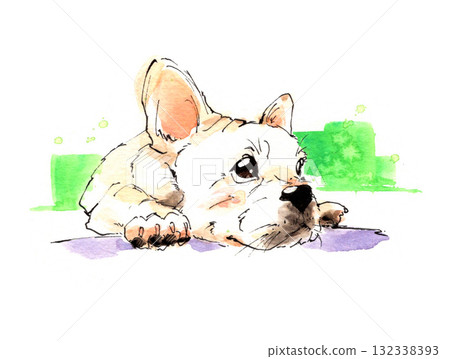 French bulldog painted in watercolor French bulldog painted in watercolor 132338393