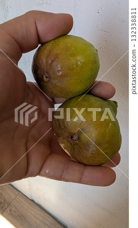 Having Fresh Figs in My Hand, Ready to Taste Their Delicious Flavor and Nutritional Benefits Having Fresh Figs in My Hand, Ready to Taste Their Delicious Flavor and Nutritional Benefits 132338811