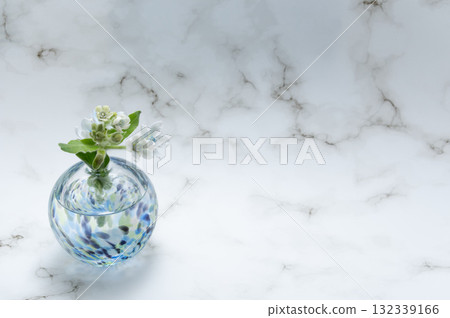 Blue star in a cool, transparent glass vase (positioned on the left) Blue star in a cool, transparent glass vase (positioned on the left) 132339166