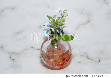 溫暖透明的玻璃花瓶中的藍色星星（中心位置） 132339168