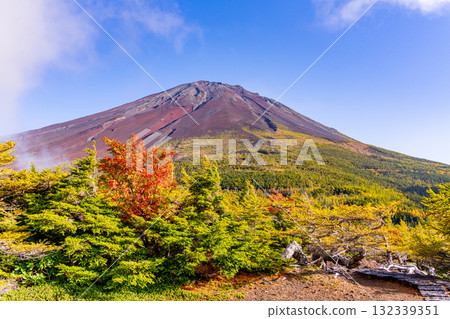 [Yamanashi Prefecture] Mt. Fuji Subaru Line Okuniwa - Autumn leaves starting to fall in the Okuniwa evening view 132339351