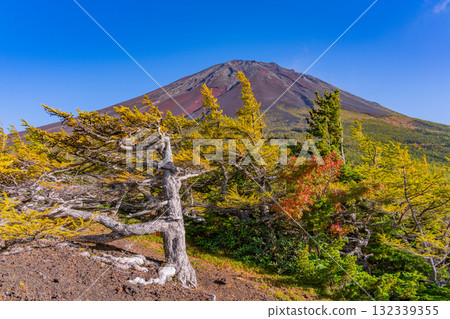 [山梨縣] 富士山斯巴魯線 奧庭～奧庭晚霞紅葉開始飄落 132339355